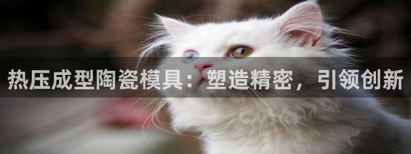 易倍纤减肥价格：热压成型陶瓷模具：塑造精密，引领创新