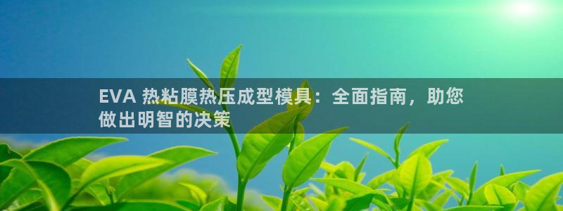易倍单词app：EVA 热粘膜热压成型模具：全面指南，助