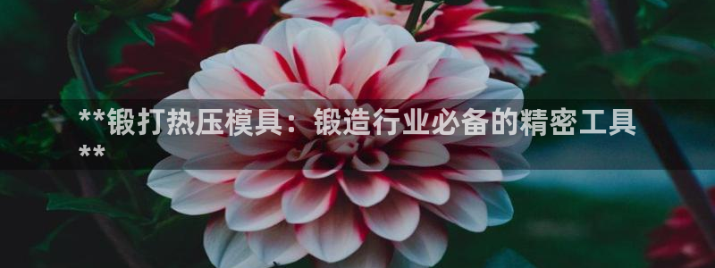 emc易倍电竞：**锻打热压模具：锻造行业必备的精密工具