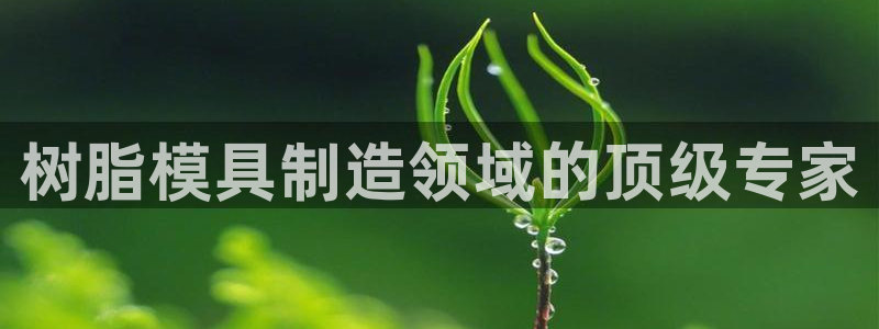 emc易倍：树脂模具制造领域的顶级专家