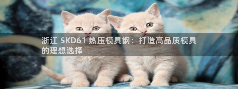 emc下载ios：浙江 SKD61 热压模具钢：打造高品