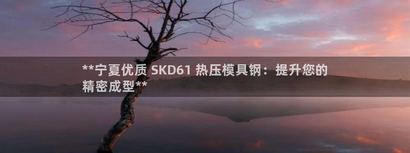 杭州易倍达上班怎么样：**宁夏优质 SKD61 热压模具