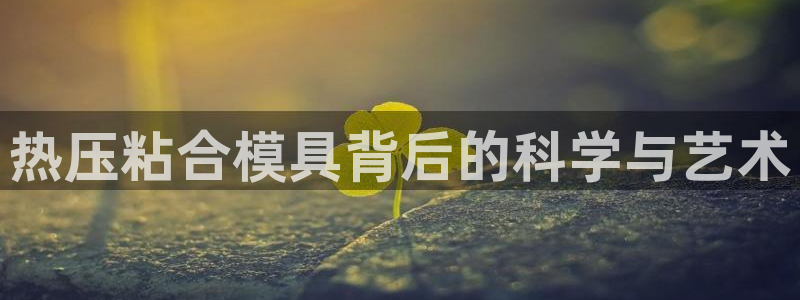 易倍全站下载：热压粘合模具背后的科学与艺术