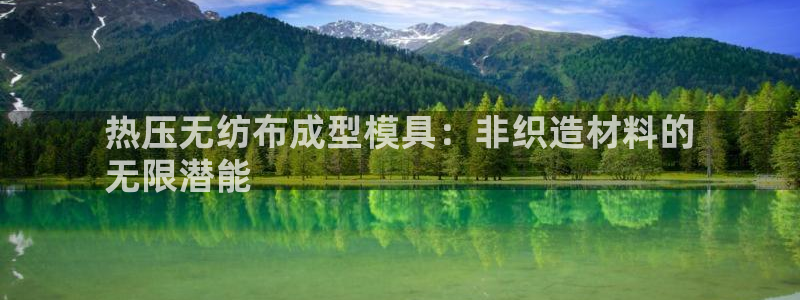 武汉易倍捷科技有限公司：热压无纺布成型模具：非织造材料的