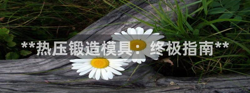 易倍网络技术有限公司官网：**热压锻造模具：终极指南**