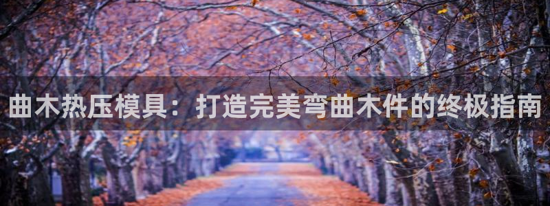 易倍思教育：曲木热压模具：打造完美弯曲木件的终极指南