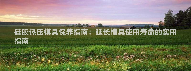 易倍易趣网：硅胶热压模具保养指南：延长模具使用寿命的实用