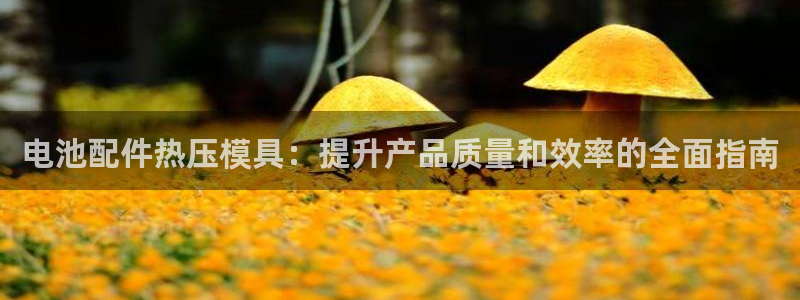 易倍单词app：电池配件热压模具：提升产品质量和效率的全