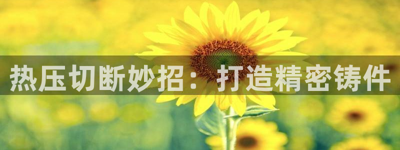 易倍电竞,有球必应：热压切断妙招：打造精密铸件