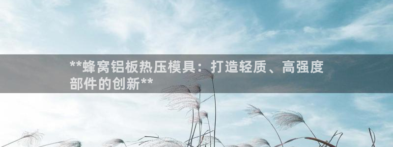 emc易倍官网app：**蜂窝铝板热压模具：打造轻质、高