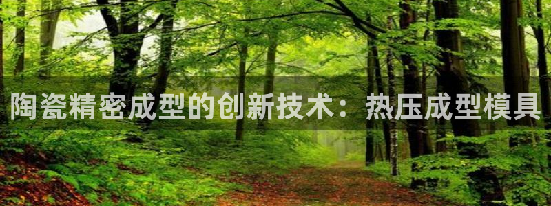 武汉易倍捷科技有限公司：陶瓷精密成型的创新技术：热压成型