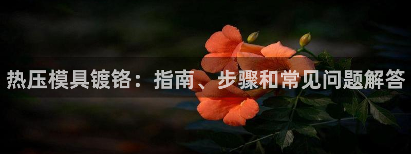 易倍达科技有限公司怎么样：热压模具镀铬：指南、步骤和常见