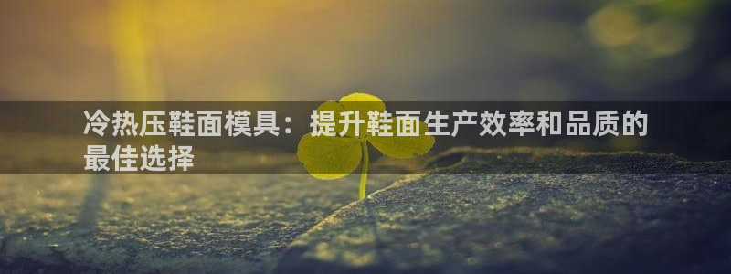 杭州易倍达科技有限公司怎么样：冷热压鞋面模具：提升鞋面生