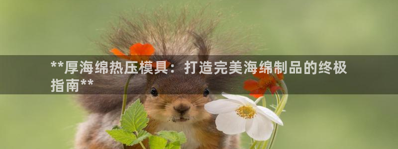 易倍纤代餐粉能减肥吗：**厚海绵热压模具：打造完美海绵制