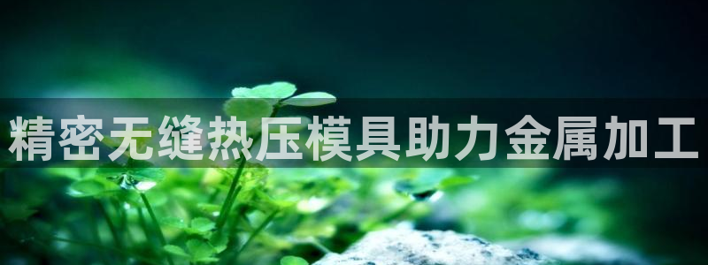 emc易倍平台：精密无缝热压模具助力金属加工