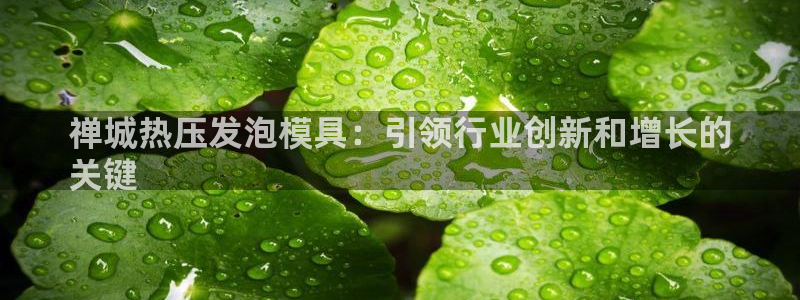 emc易倍全站官网：禅城热压发泡模具：引领行业创新和增长