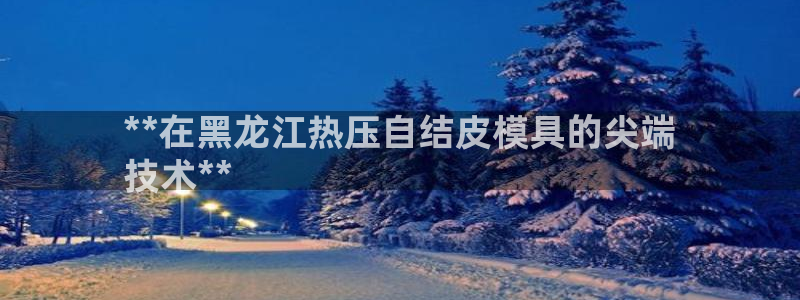 易倍单词app官网：**在黑龙江热压自结皮模具的尖端
技
