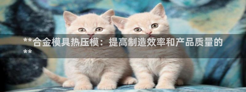 EMC易倍让身份验证：**合金模具热压模：提高制造效率和
