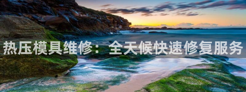 南京易倍易电子科技有限公司：热压模具维修：全天候快速修复