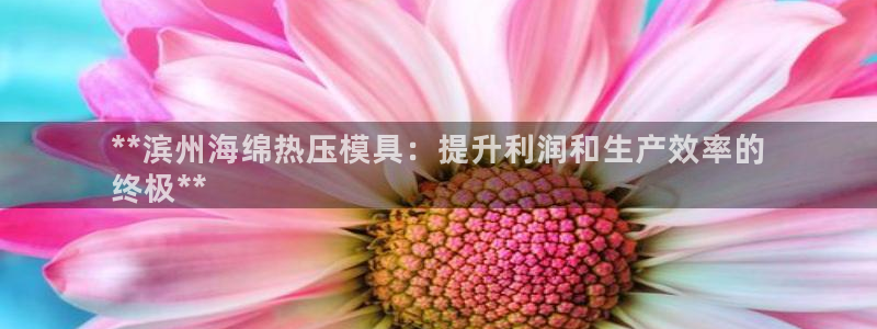 易倍达科技有限公司怎么样：**滨州海绵热压模具：提升利润