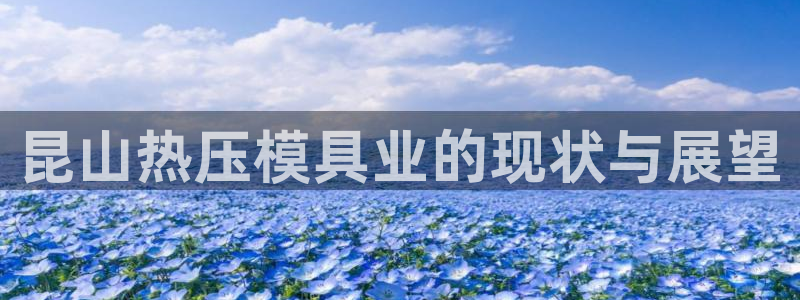 emc倍频干扰怎么解决：昆山热压模具业的现状与展望