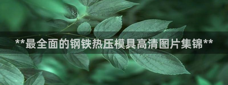 emc全站ag：**最全面的钢铁热压模具高清图片集锦**