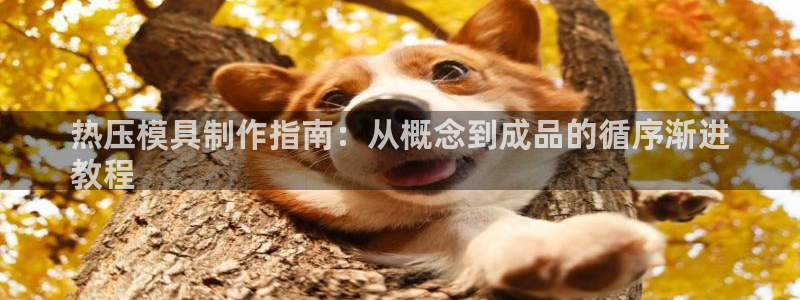 易倍纤酵素效果好吗：热压模具制作指南：从概念到成品的循序