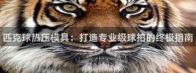 emc全站易倍：匹克球热压模具：打造专业级球拍的终极指南