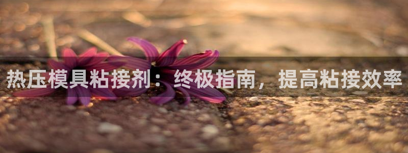 emc易倍下载：热压模具粘接剂：终极指南，提高粘接效率