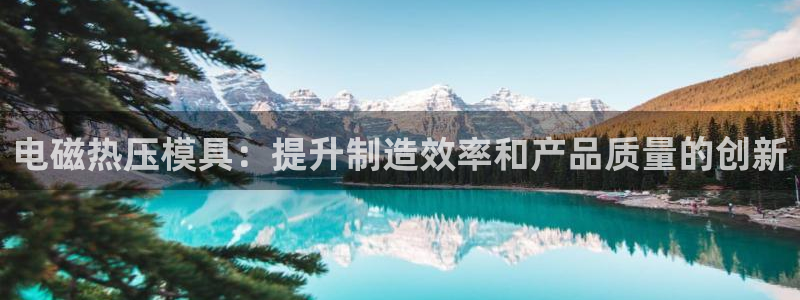 emc易倍官方平台：电磁热压模具：提升制造效率和产品质量
