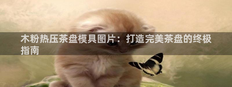 易倍网络技术有限公司招聘：木粉热压茶盘模具图片：打造完美