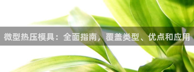 emc32软件使用说明：微型热压模具：全面指南，覆盖类型