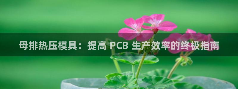 易倍全站下载：母排热压模具：提高 PCB 生产效率的终极