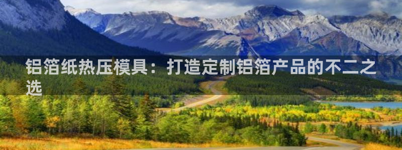 易倍思机电制造(上海)有限公司：铝箔纸热压模具：打造定制