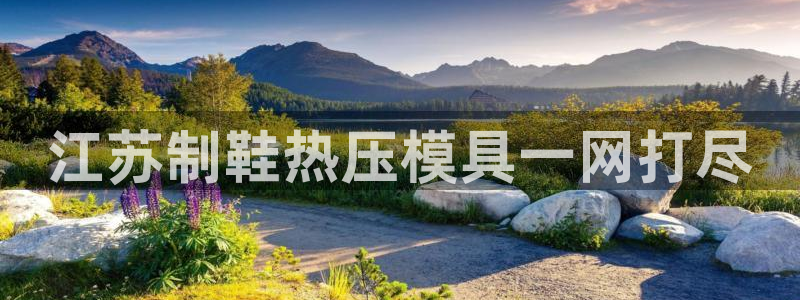 emc易倍平台：江苏制鞋热压模具一网打尽