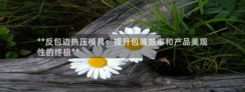 低频的emc用什么滤波：**反包边热压模具：提升包装效率
