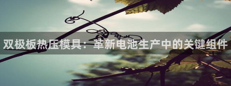 易倍申是进口药吗：双极板热压模具：革新电池生产中的关键组