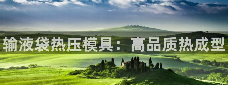 易倍申价格是多少：输液袋热压模具：高品质热成型
