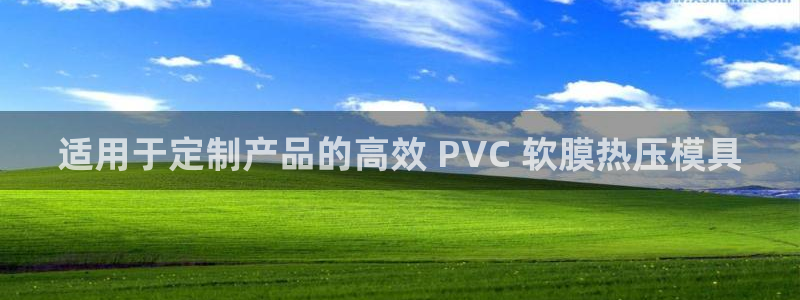 emc易倍官方平：适用于定制产品的高效 PVC 软膜热压