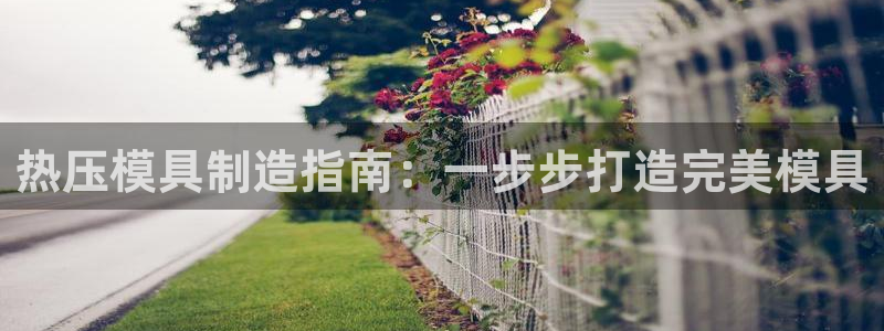 emc易倍首存500送球衣：热压模具制造指南：一步步打造