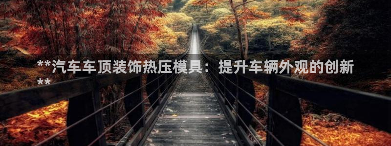 武汉易倍捷科技有限公司：**汽车车顶装饰热压模具：提升车