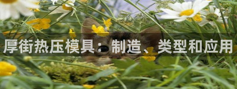 emc易倍登录：厚街热压模具：制造、类型和应用