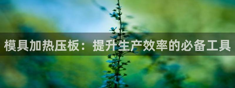 杭州易倍达上班怎么样：模具加热压板：提升生产效率的必备工