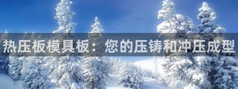 易倍纤代餐奶昔减肥效果怎么样：热压板模具板：您的压铸和冲