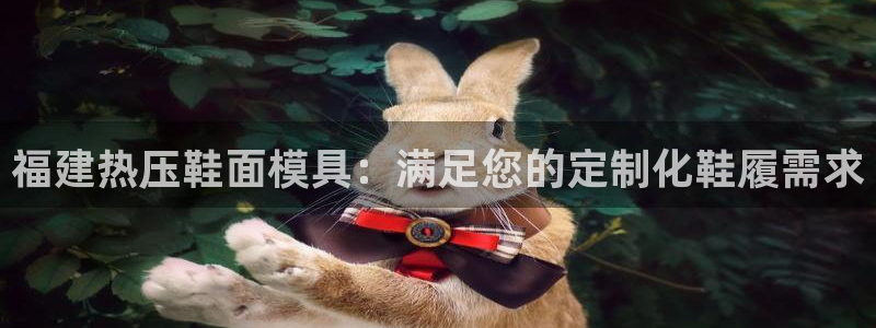 易倍纤减肥反弹不：福建热压鞋面模具：满足您的定制化鞋履需