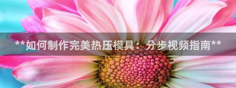 易倍app官网下载：**如何制作完美热压模具：分步视频指