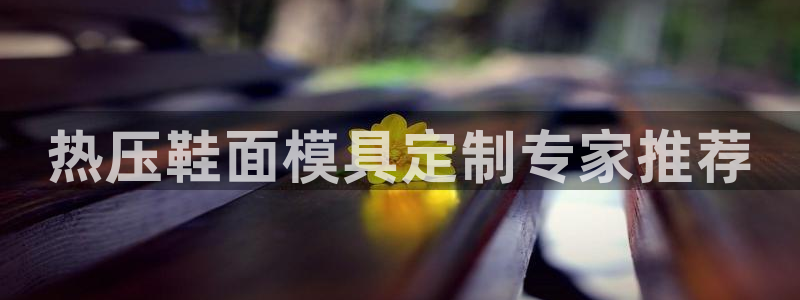 易倍单词官网下载：热压鞋面模具定制专家推荐
