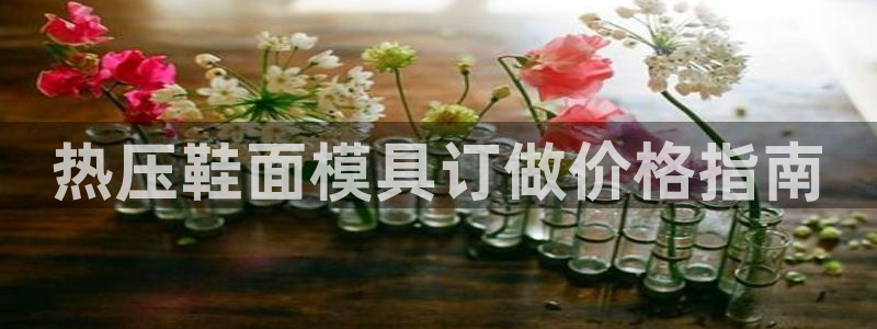 易倍申竞品：热压鞋面模具订做价格指南
