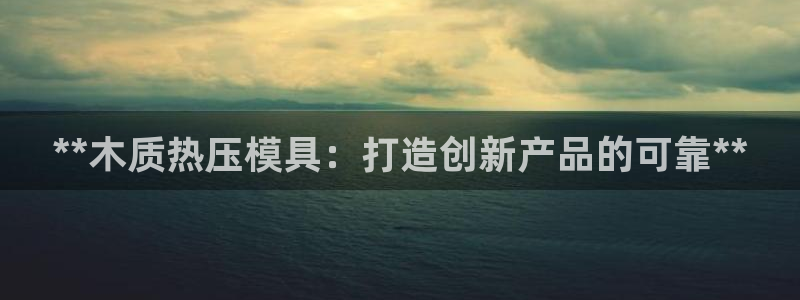 易倍达科技有限公司怎么样：**木质热压模具：打造创新产品