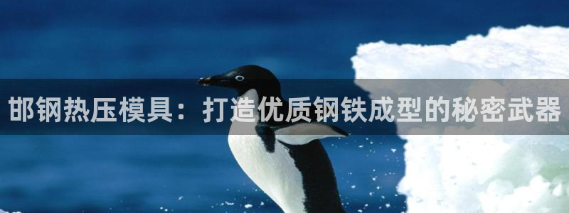 emc易倍出空款：邯钢热压模具：打造优质钢铁成型的秘密武